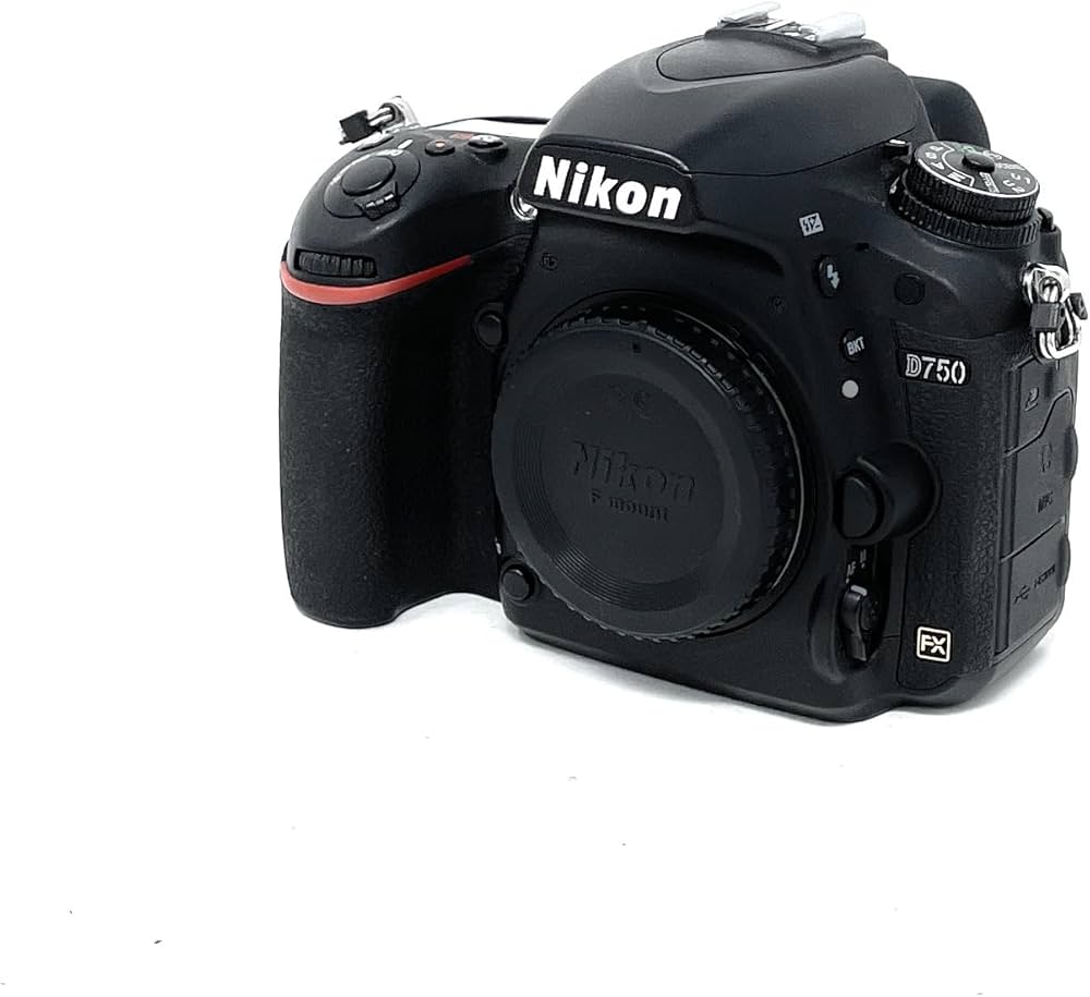 Appareil photo Nikon Version Photo & Vidéo - HGL - CHINA