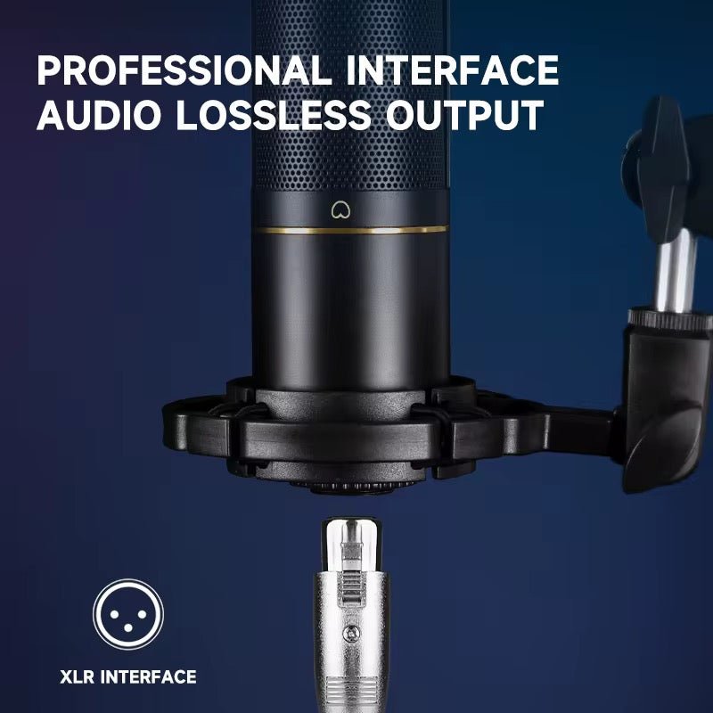 Kit Complet de Studio Professionnel 192kHz/24Bit – Pack Podcast & Enregistrement avec Microphone à Condensateur, Interface Audio USB, Casque de Monitoring et Bras Articulé - HGL - CHINA