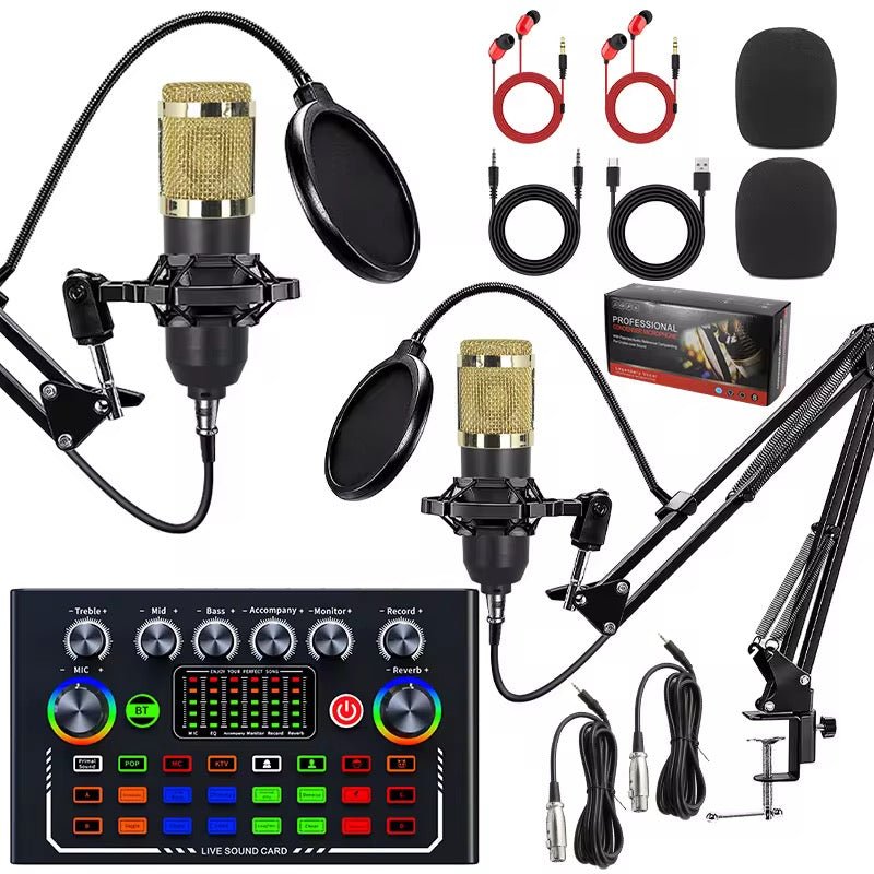 Kit Microphone à Condensateur BM800 Professionnel – Pack Podcast & Streaming avec Carte Son Live, Réduction de Bruit & Bras Articulé - HGL - CHINA