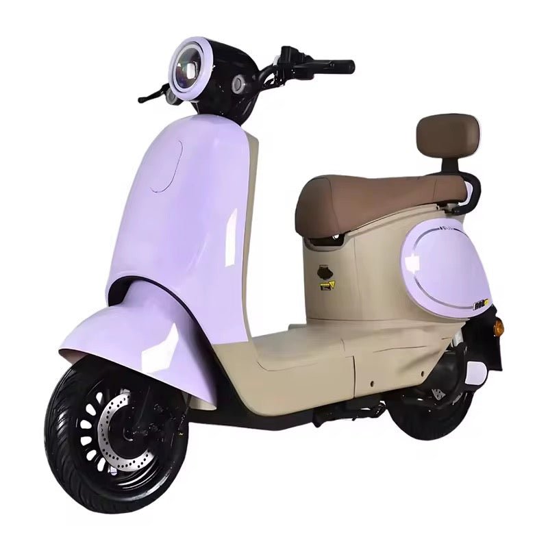 Scooter Électrique "Duck Edition" – Design Fun & Vintage, Batterie 60V 20Ah, Autonomie Urbaine pour Adultes et Ados - HGL - CHINA